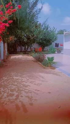 Maison à louer image 5