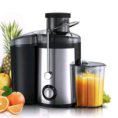 Mixeur(extracteur de jus)professionnels image 1