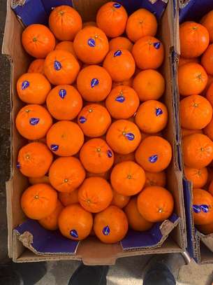 Fruit image 2