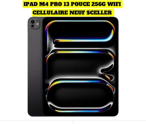 IPAD PRO M4 13 PPOUCE WIFI CELLULAIRE image 1