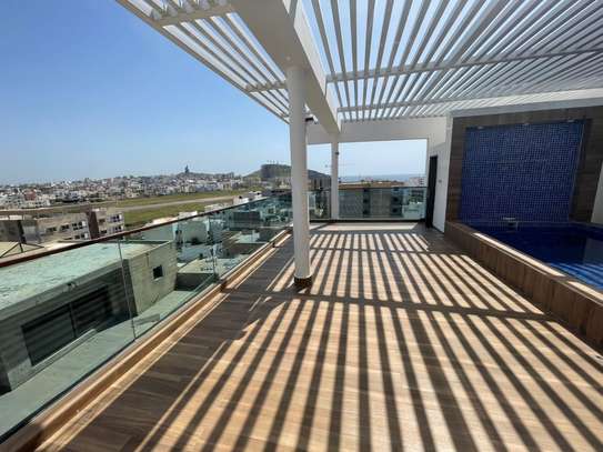 PENTHOUSE AUX ALMADIES image 6