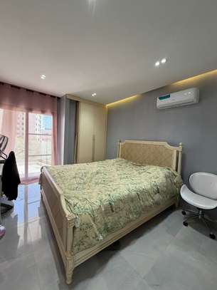 Magnifique Penthouse à louer image 13