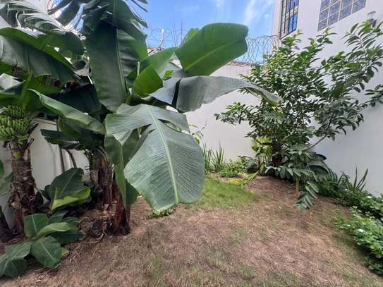 RDC piscine privée à louer aux mamelles élevage image 10