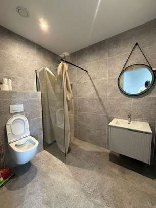 Magnifique Penthouse à louer image 2