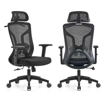 Fauteuil orthopédique image 2