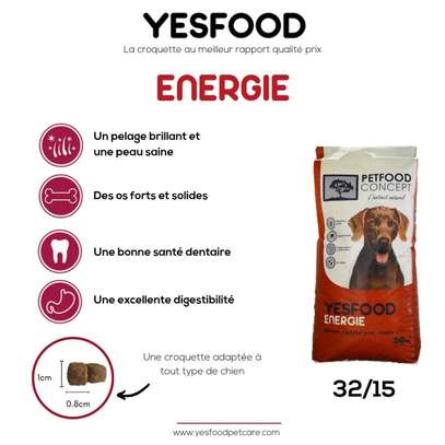 PROMO -5% REDUCTION 🔥CROQUETTES YESFOOD image 2