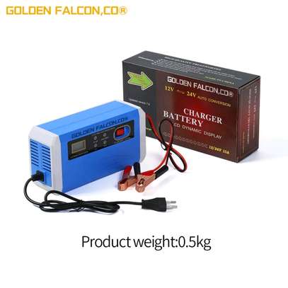 Chargeur Batterie 12V24 image 3