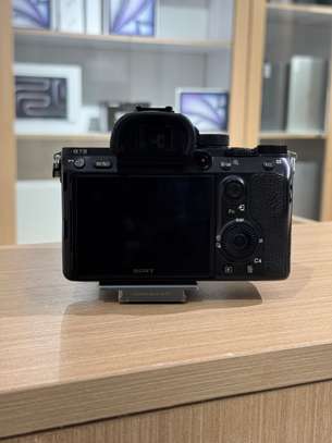 Sony Alpha 7 III + Sony 24-105MM FE 4 G OSS image 9