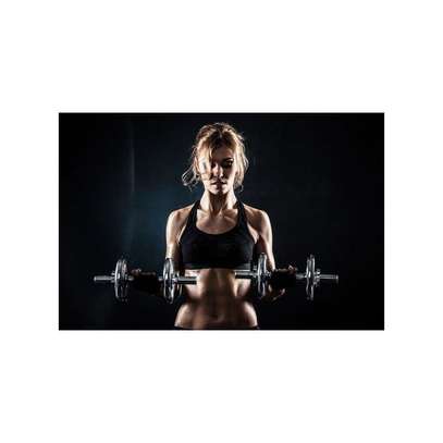 Kit d'haltères chromées 15Kg - York Fitness image 10
