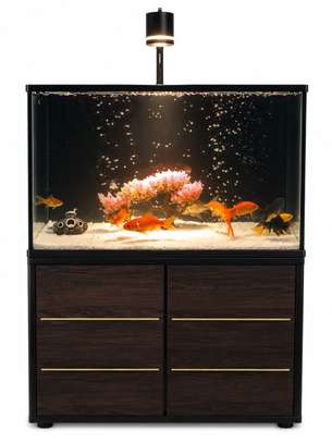 Aquarium image 4