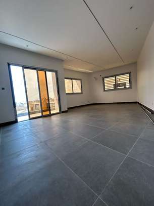 APPARTEMENTS AUX MAMELLES image 10