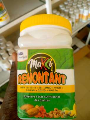 Produits agricoles image 7