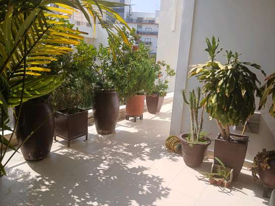 villa louer mermoz image 1