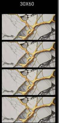 Carreaux Faïence 30x60 image 3