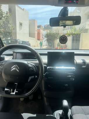 C4 cactus image 4