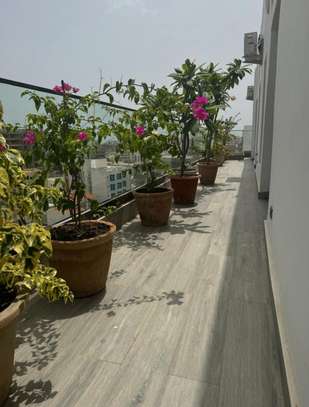 Magnifique PENTHOUSE au ALMADIES image 13