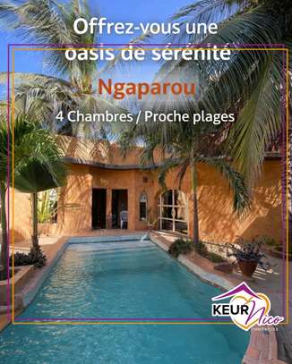 Coup de cœur à vendre à Ngaparou image 1