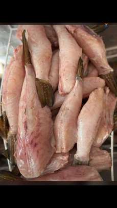 FRUITS DE MER ET POISSONS image 6