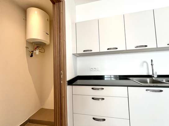 APPARTEMENT LUMINEUX A LOUER A SACRÉ-COEUR 1 image 8
