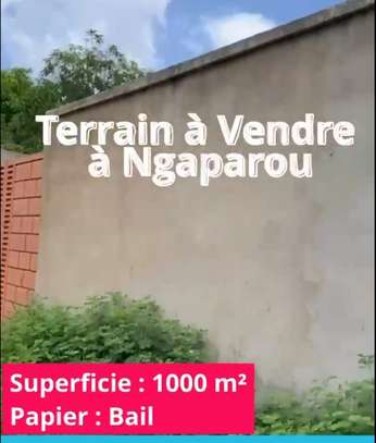 Terrain à vendre à Ngaparou image 2