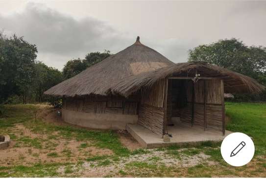 Belle maison écologique en plein nature. image 1