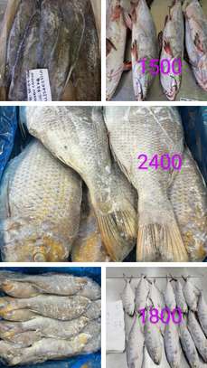 POISSON SOUMPOTT = EMPEREUR à Vendre image 2