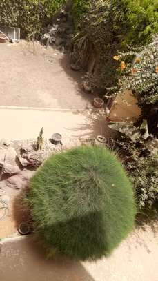 Grande villa a vendre a Mermoz image 2