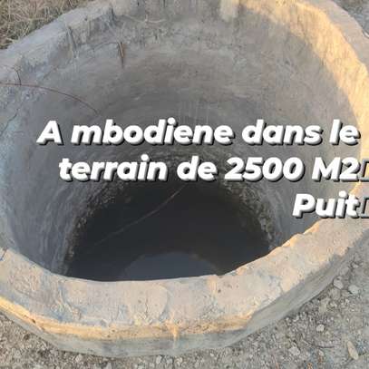 Terrain agricole de 2500 m² à MBODIENE image 1