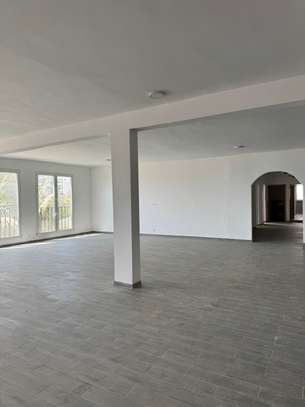 Loft 450 m2 image 1