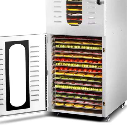 DÉSHYDRATEUR ALIMENTAIRE – 32 PLATEAUX image 5