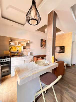 Studio Meublé sur la vdn image 8