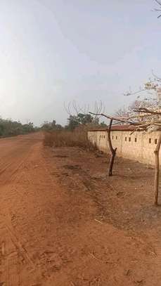 Verger 1 hectare et demi à Toubacouta -Foundioune image 2