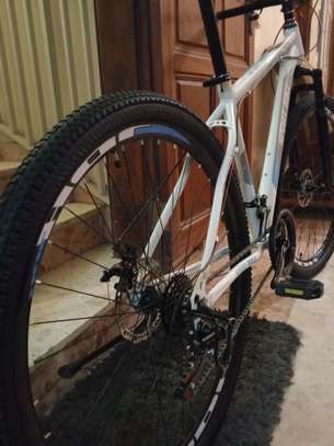 VTT 29 pouces blanc suspension avant image 5