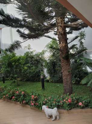 Grande villa R+1 à louer à Sotrac Mermoz image 10
