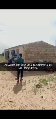 Champs de 5.500m² à Tassette à vendre image 6