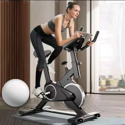 Vélo sport fitness appartement image 1