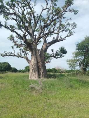 5 hectares à vendre entre Saou et Diambalo image 1
