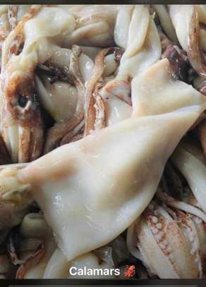 Seiche , calamar, crabe, pince crabe image 4