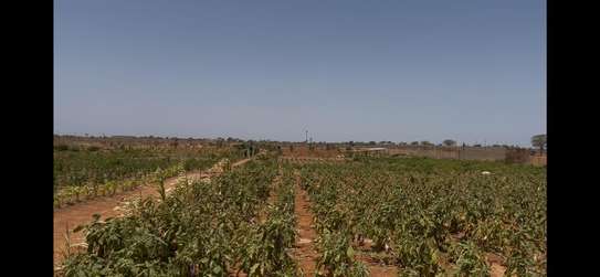 Terrain agricole Notto Diobass village Ngolar image 1