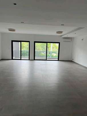Superbe penthouse au POINT E image 8