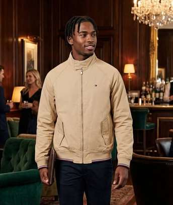Tommy Hilfiger Blouson Zip Intégral image 3