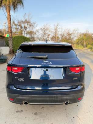 Jaguar venant image 8