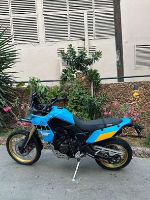 Tenere image 6
