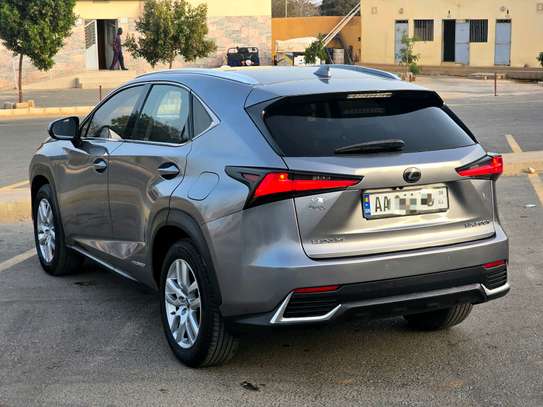Lexus NX300h 2020 image 12