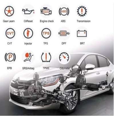 diagnostic automobile (Magal et hivernage) image 3