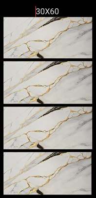 Carreaux Faïence 30x60 image 2