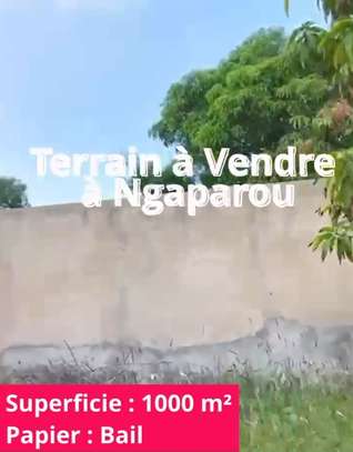 Terrain à vendre à Ngaparou image 6