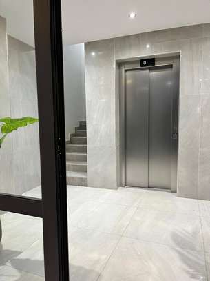 Penthouse à louer aux mamelles image 1