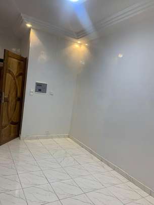 APPARTEMENT AUX MAMELLES image 6
