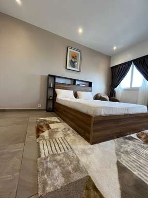 Studio meublé à louer au plateau image 6